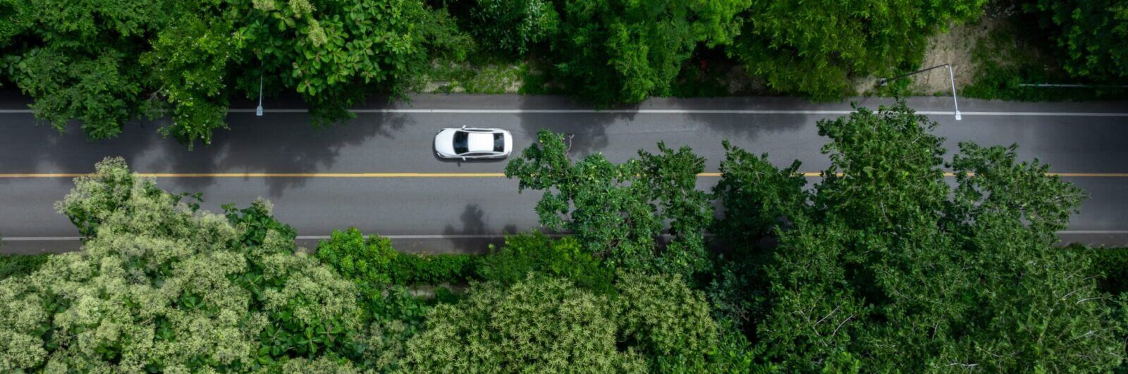 Looking down on a car driving down a road amid trees